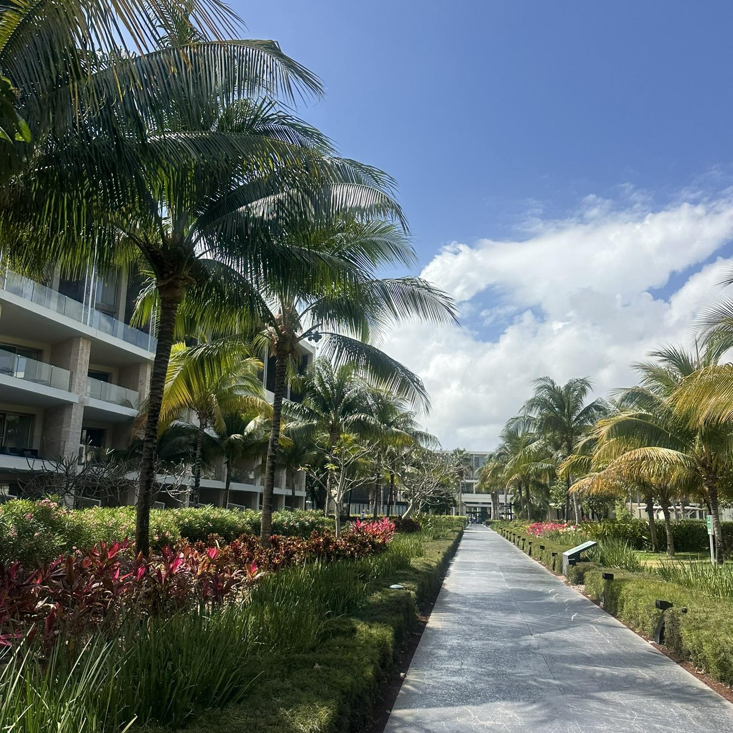 Walk ways from our visit