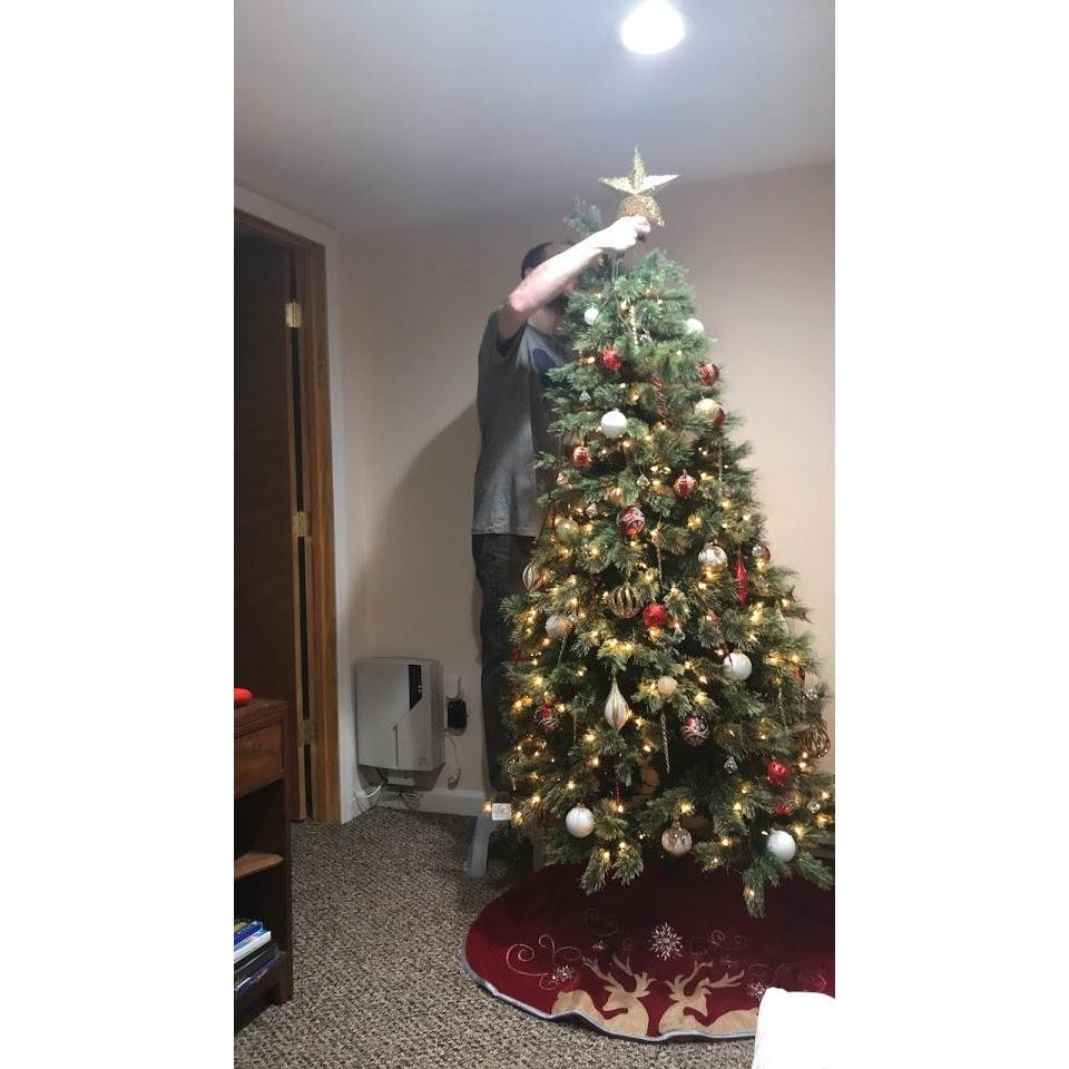 Our first Christmas Tree together, 2017