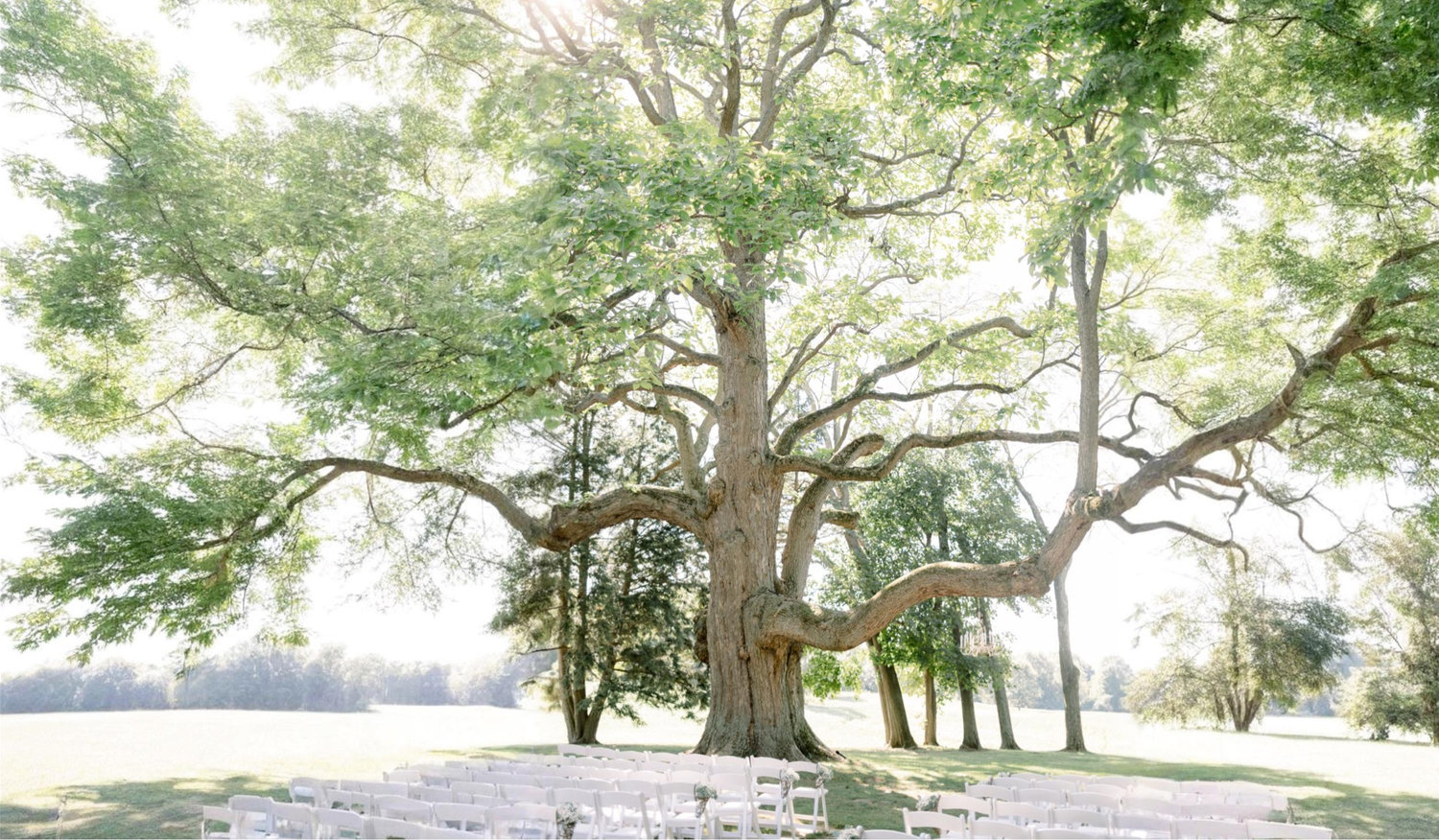 The Wedding Website of Allison Pagel and Lucas Krueger