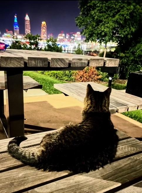 The Wedding Website of Amanda Tommer and Rebecca Lazarus