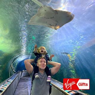 VIP Adventure at the Aquarium of the Bay for 2 - San Francisco