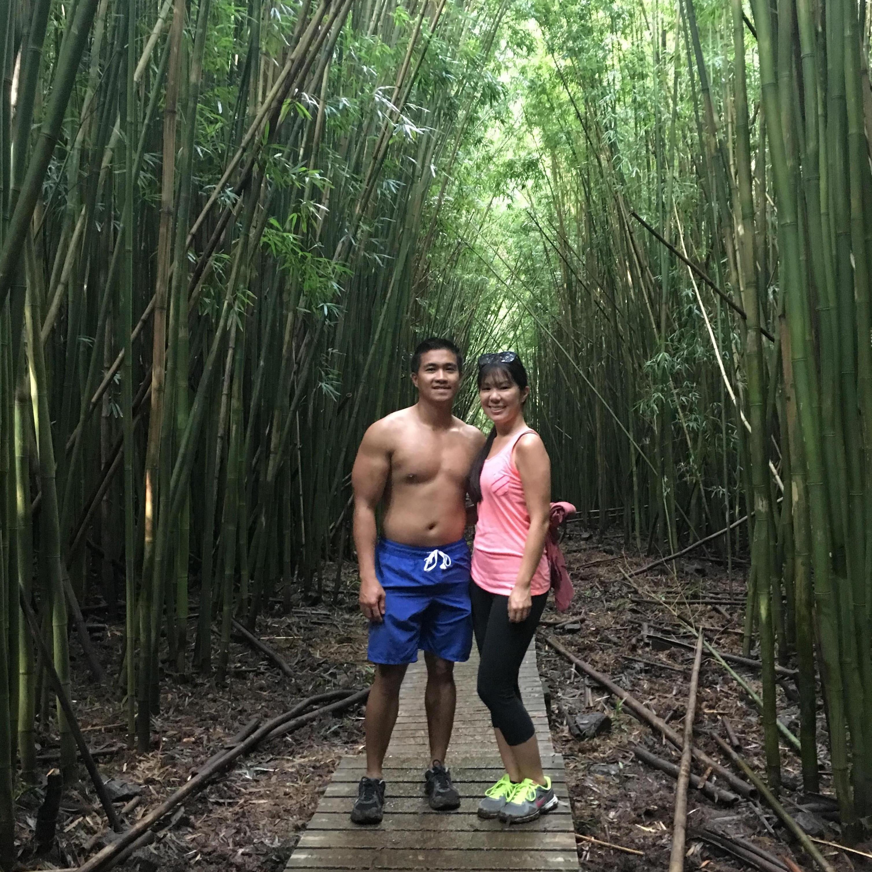 Bamboo forest, Maui