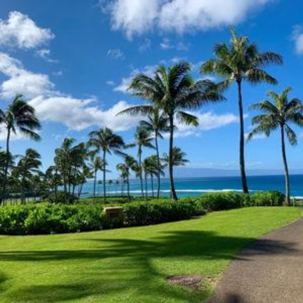 Kauai Honeymoon Fund