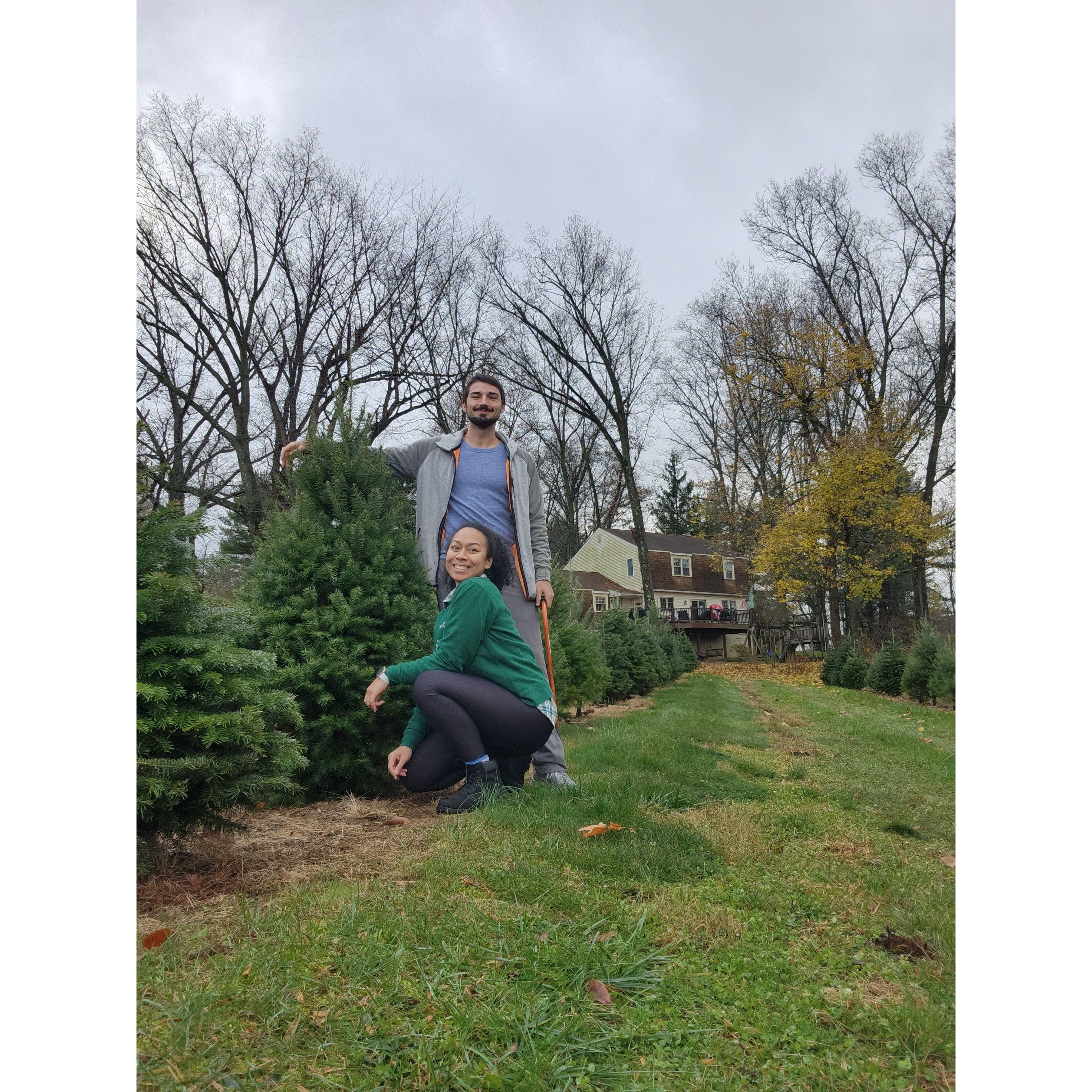 Cutting down our first tree together