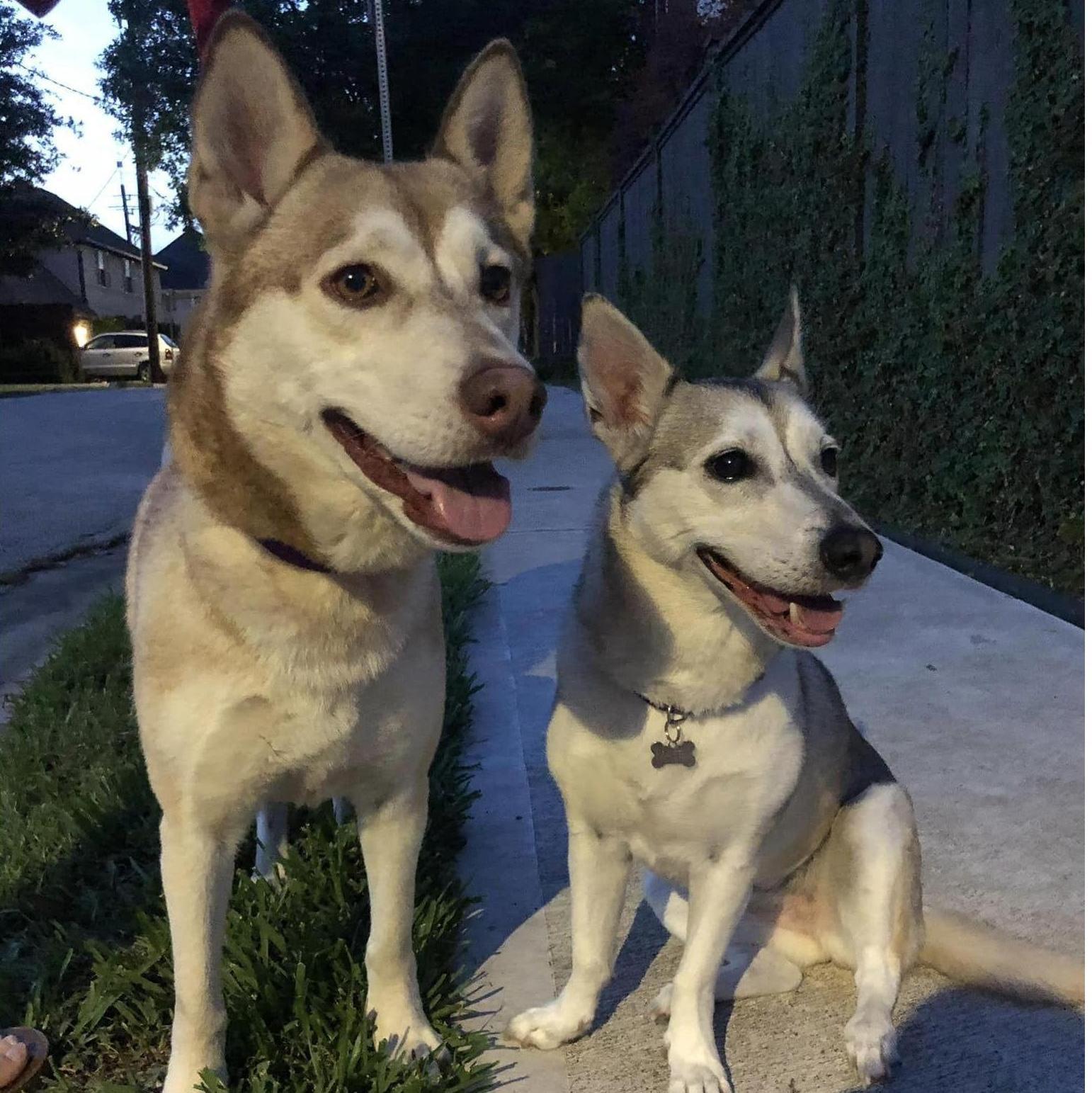 Apr 2020: Mischa & Maeby