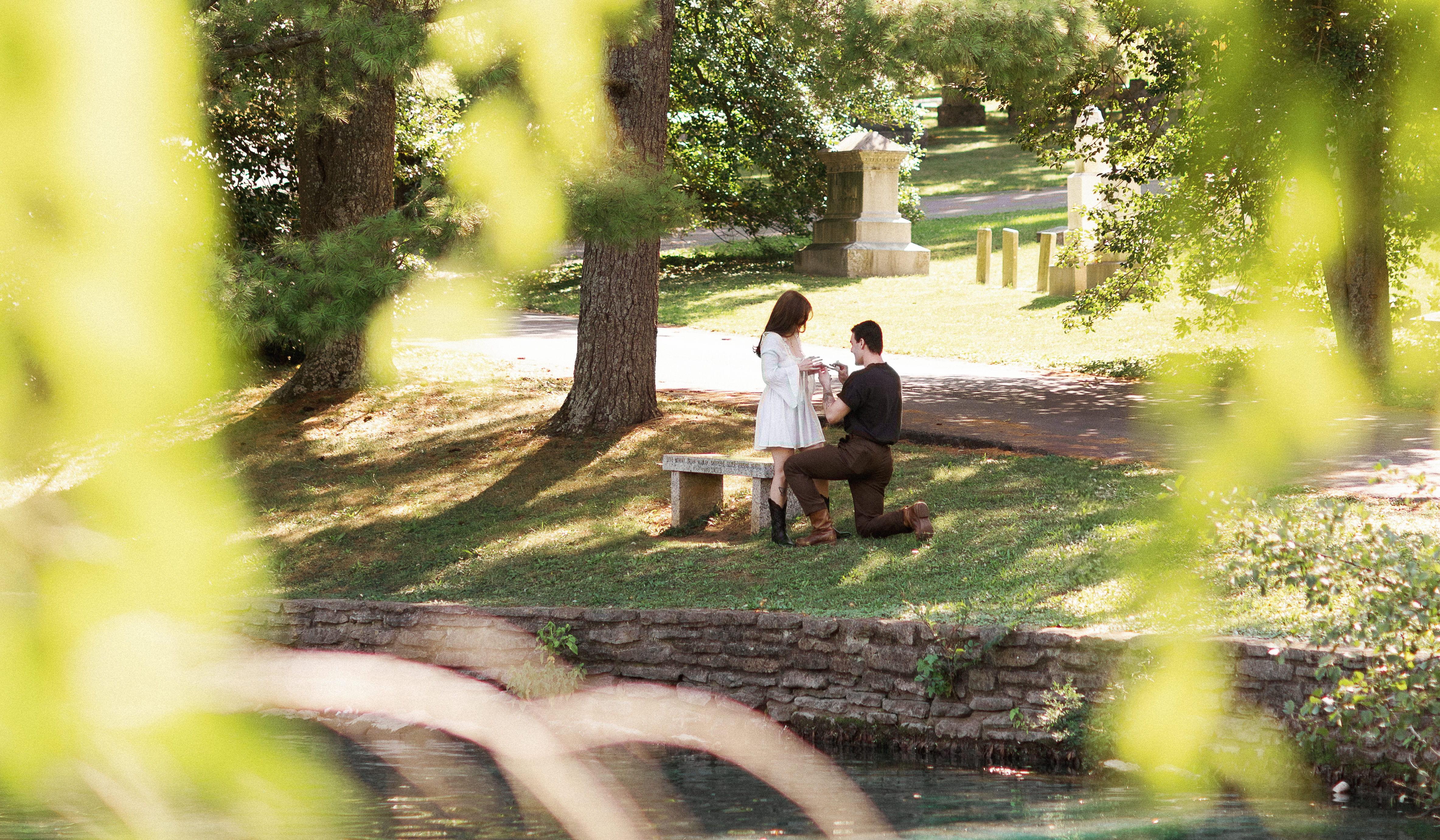 Hero Slideshow Image 0