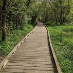 Conestee Nature Preserve