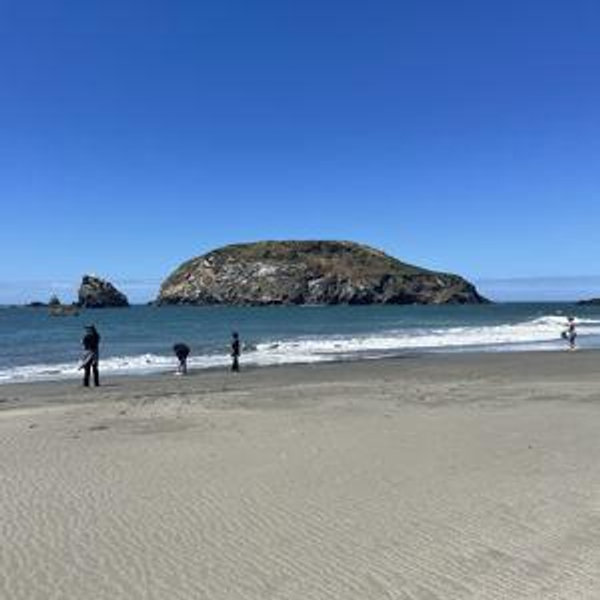 Honeymoon on the Oregon Coast