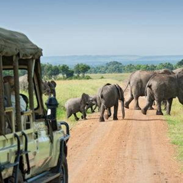 Our African Adventure