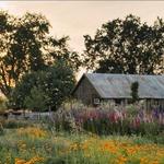 Park Winters - Flower Farm