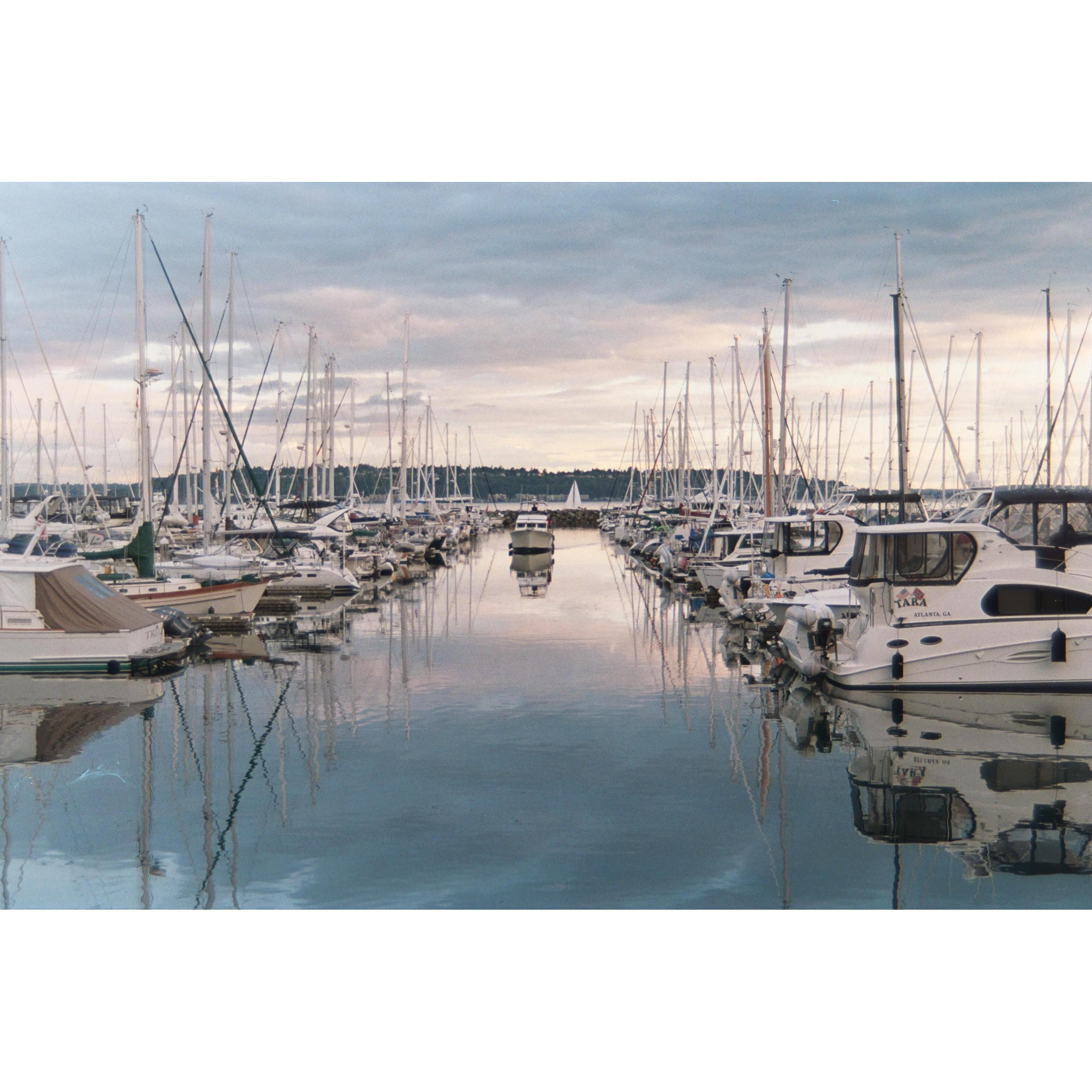 Elliot Bay Marina in Magnolia.