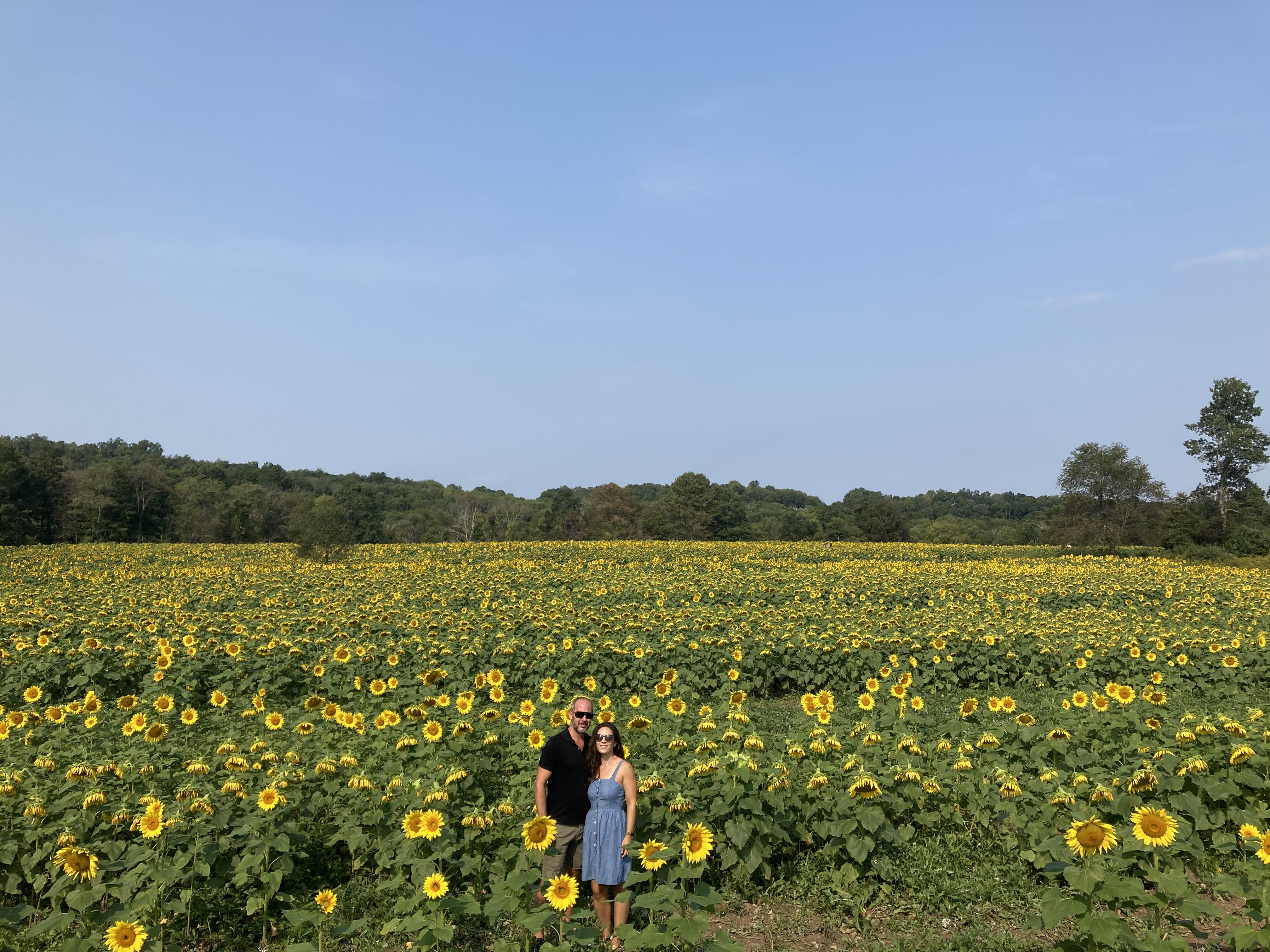 The Wedding Website of Lisa Ellis and Jay Gavin