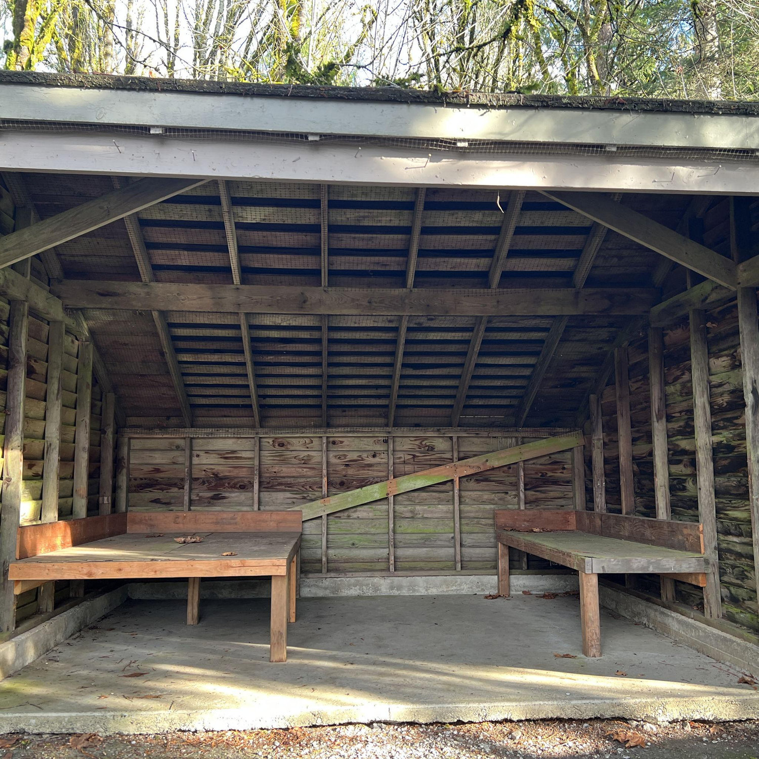 Adirondacks! There are 13 Adirondack lean-to style structures on site. Please bring an inflatable mattress or camping mattress pad and sleeping bag.