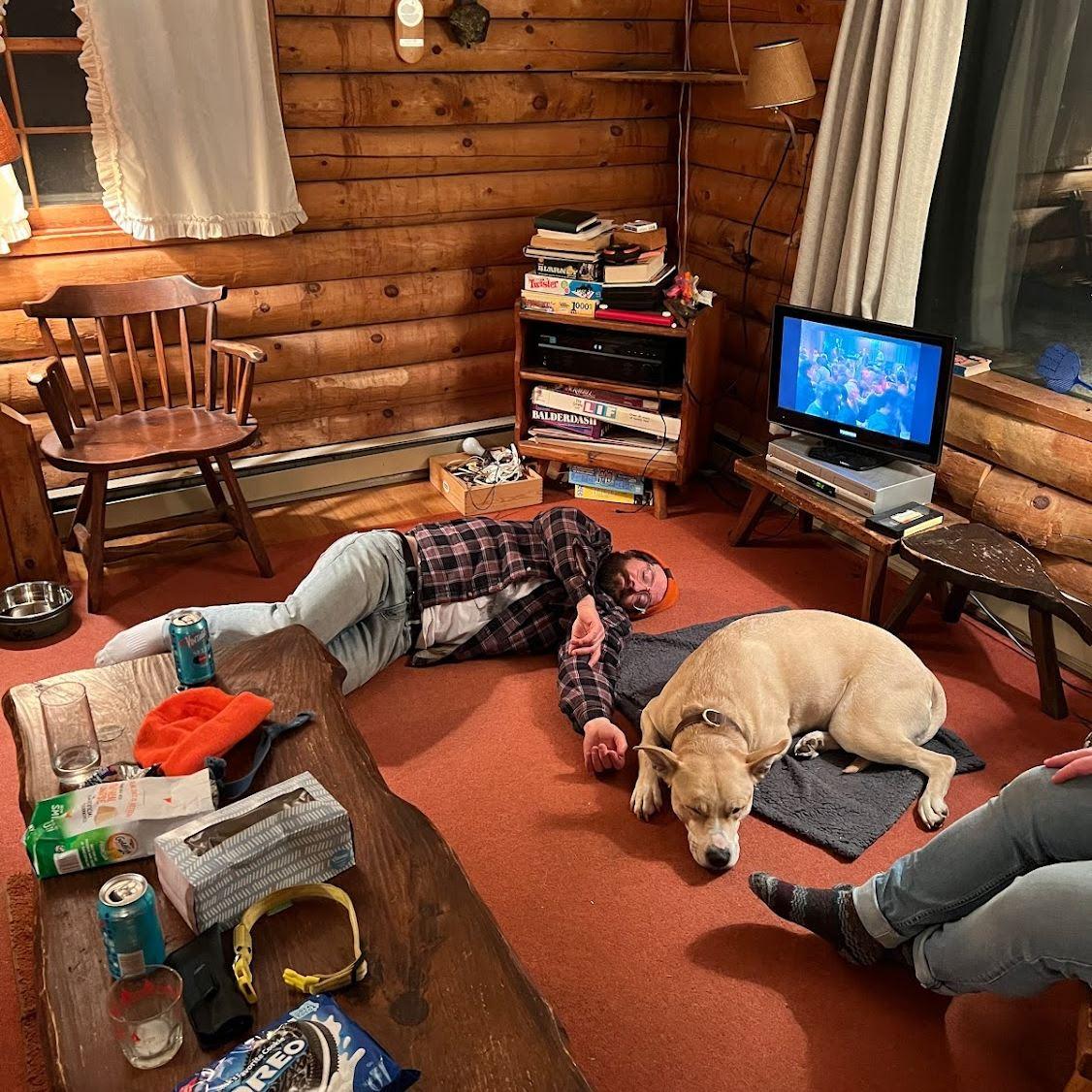 All dogged out