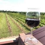 Grace Hill Winery