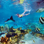 John Pennekamp Coral Reef State Park