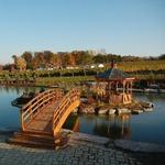 Rosewood Estates Winery