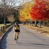 A Walk in Sequoyah Hills!