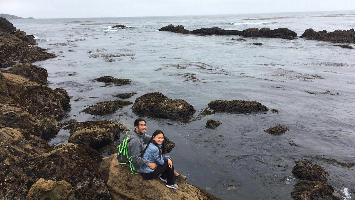 At Point Lobos Reserve