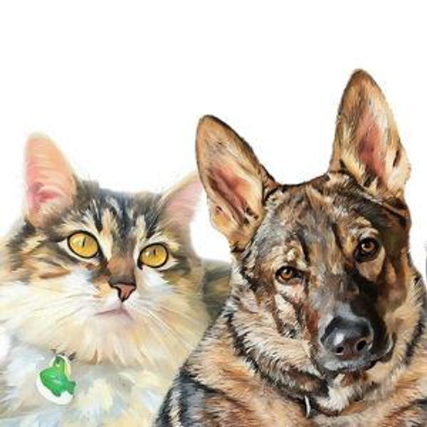 Our Pet Toy Fund