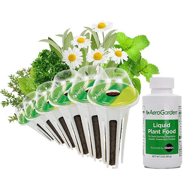 AeroGarden Traditional Medicinal Herbs Seed Pod Kit, 6, Green