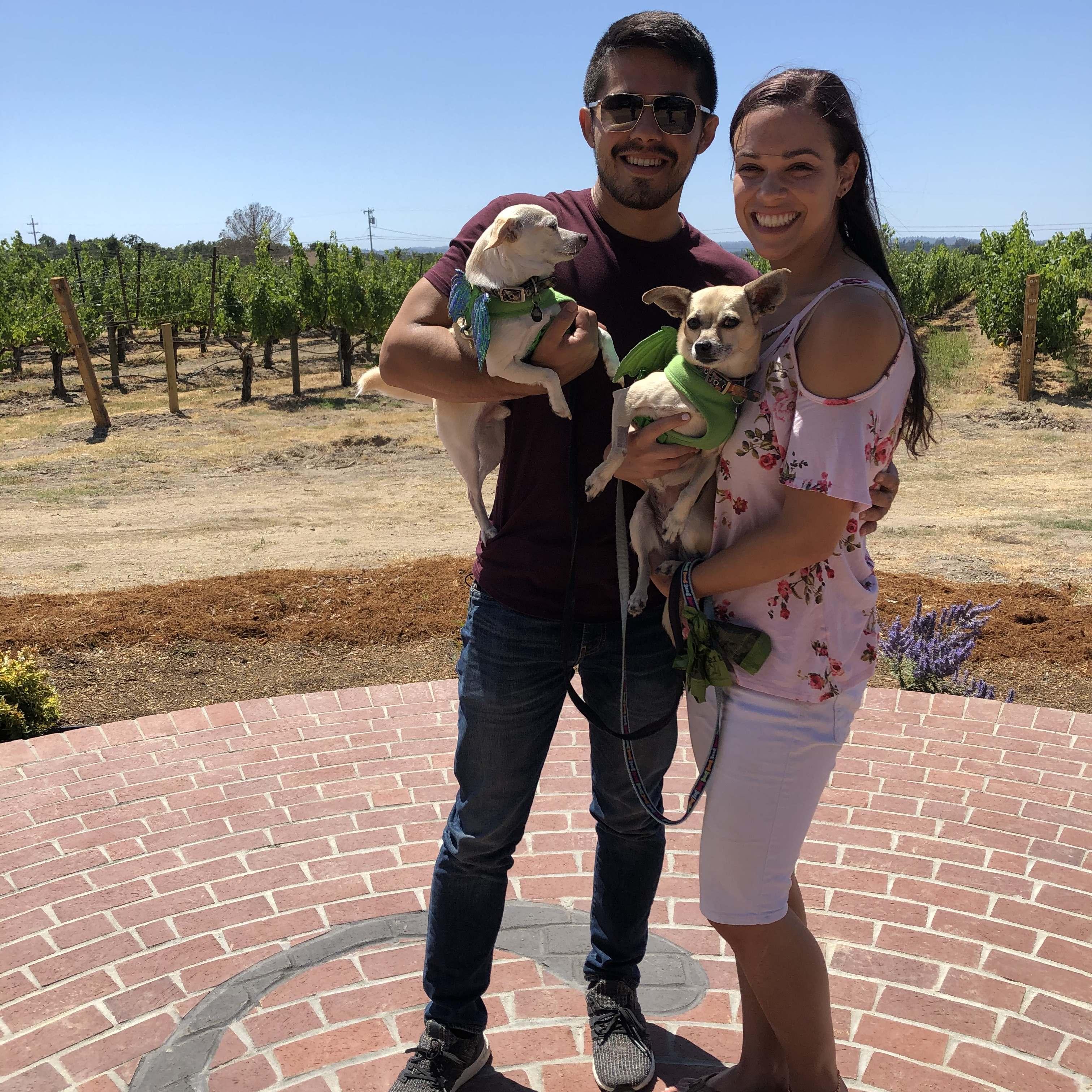 Drinking wine in the sunshine in summer 2020