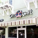 The Orlando Cat Cafe