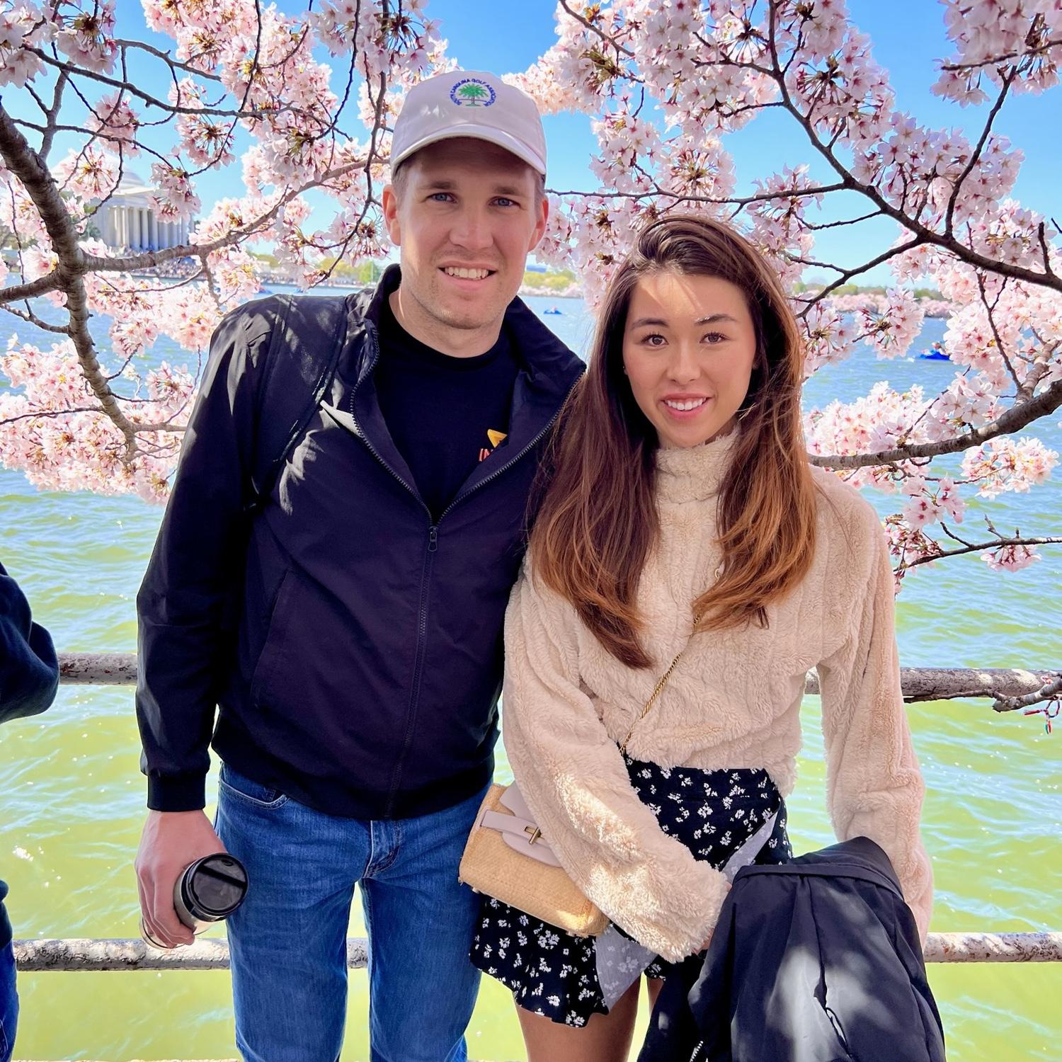 Cherry blossoms in DC