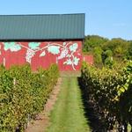 Rosedale Farms & Vineyards