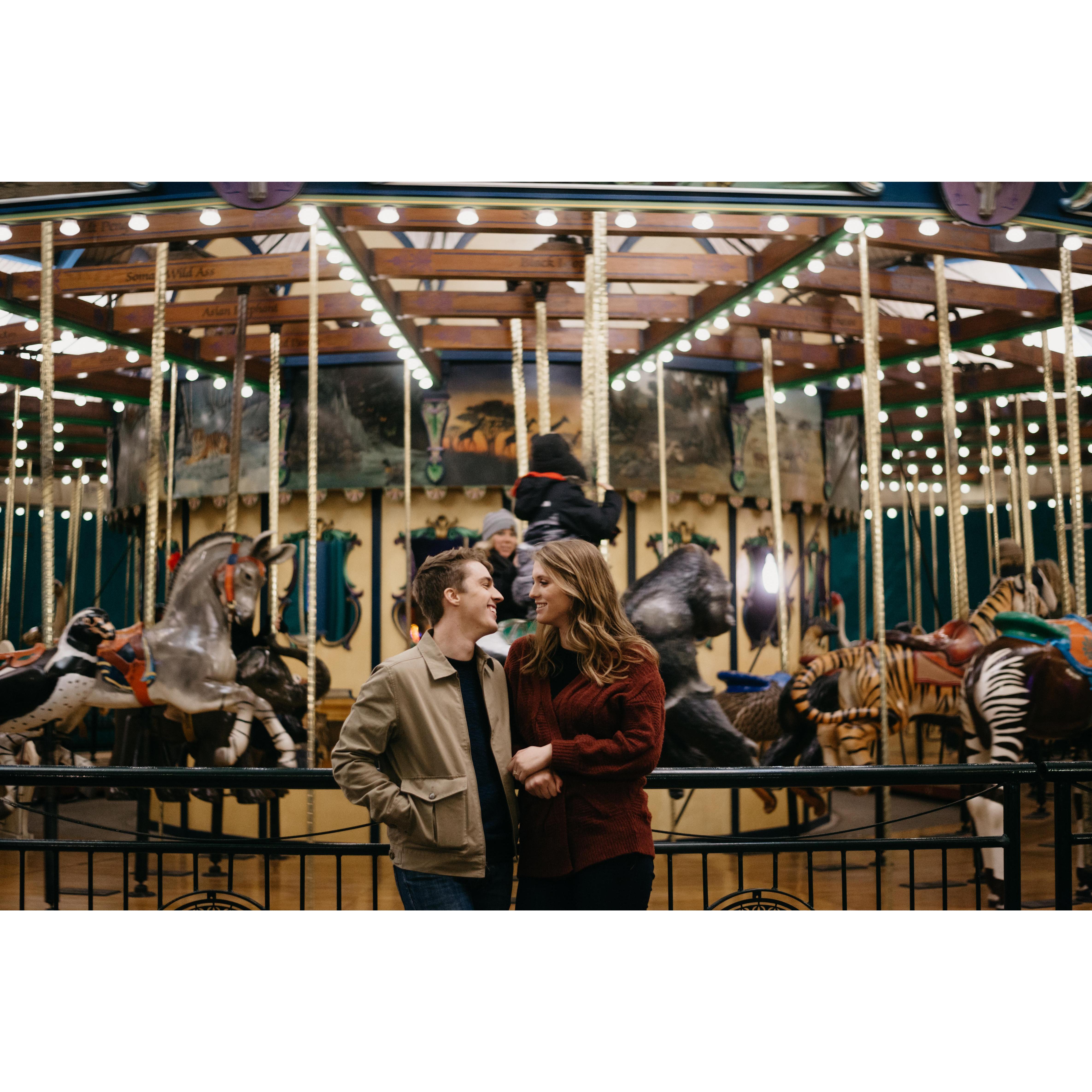 St. Louis Zoo
St. Louis, MO
December 2017