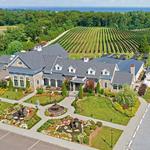 Del Vino Vineyards