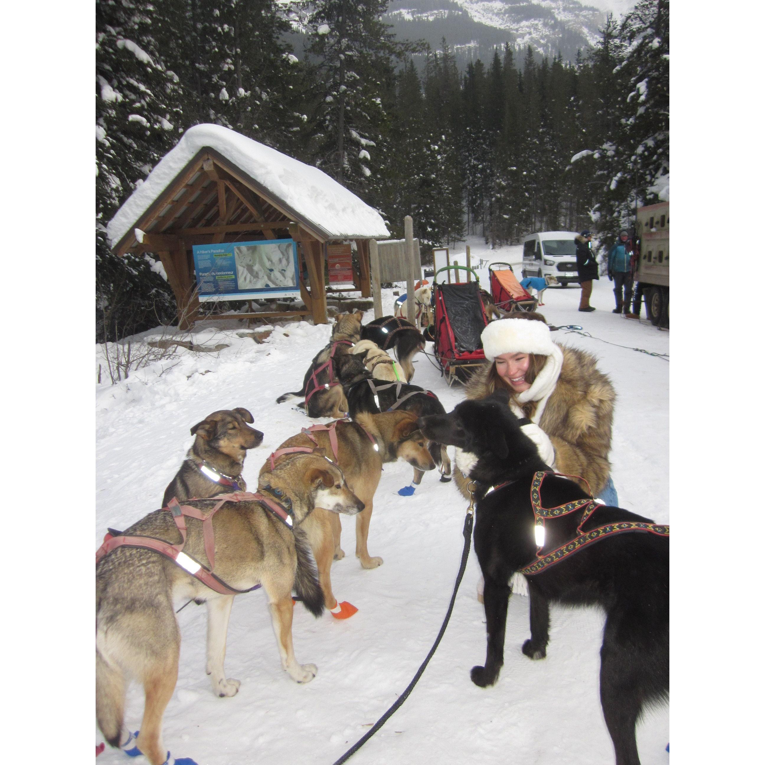 Dog sledding in the snow in 10 degree weather in Banff!