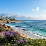 Swami's Beach
