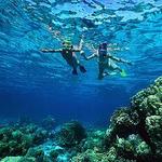 Snorkelling