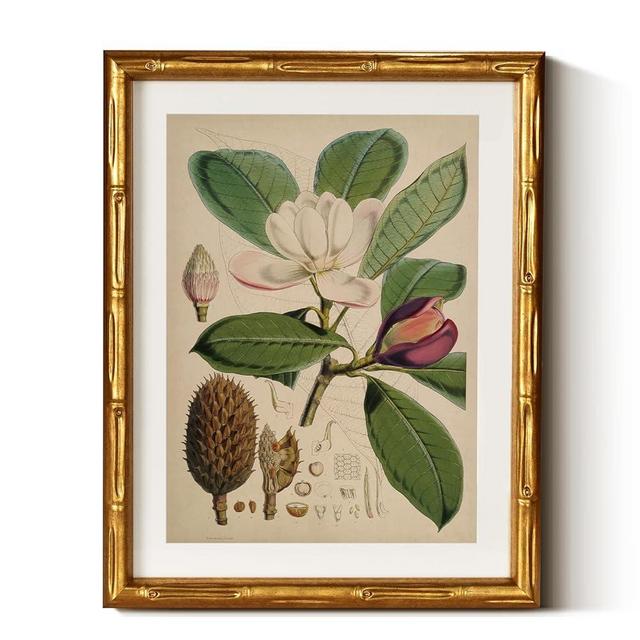 InSimSea Gold Bamboo Framed Canvas Wall Art, Retro Nature Magnolia Botanical Paintings, Antique Vintage Picture Frame with Mat, Victorian Home Wall Decor for Living Room Kitchen Dining, 11x14inch