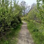 Long Wharf Nature Preserve