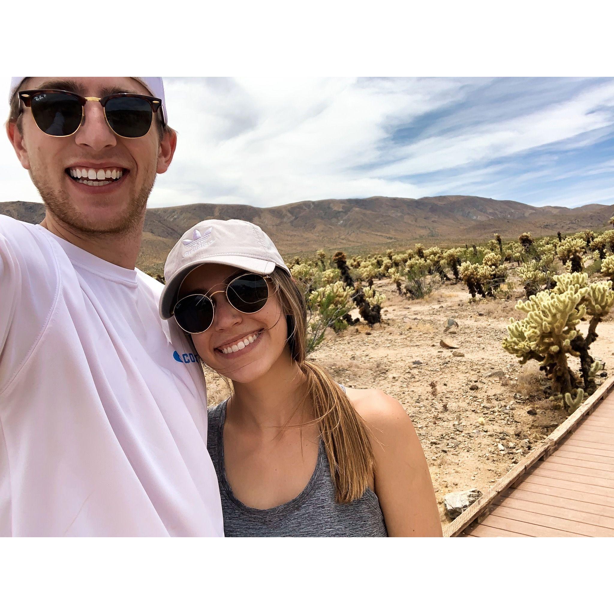 Jun 2020 - Joshua Tree