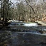 Old Jelly Mill Falls