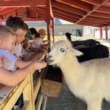River Street Ranch