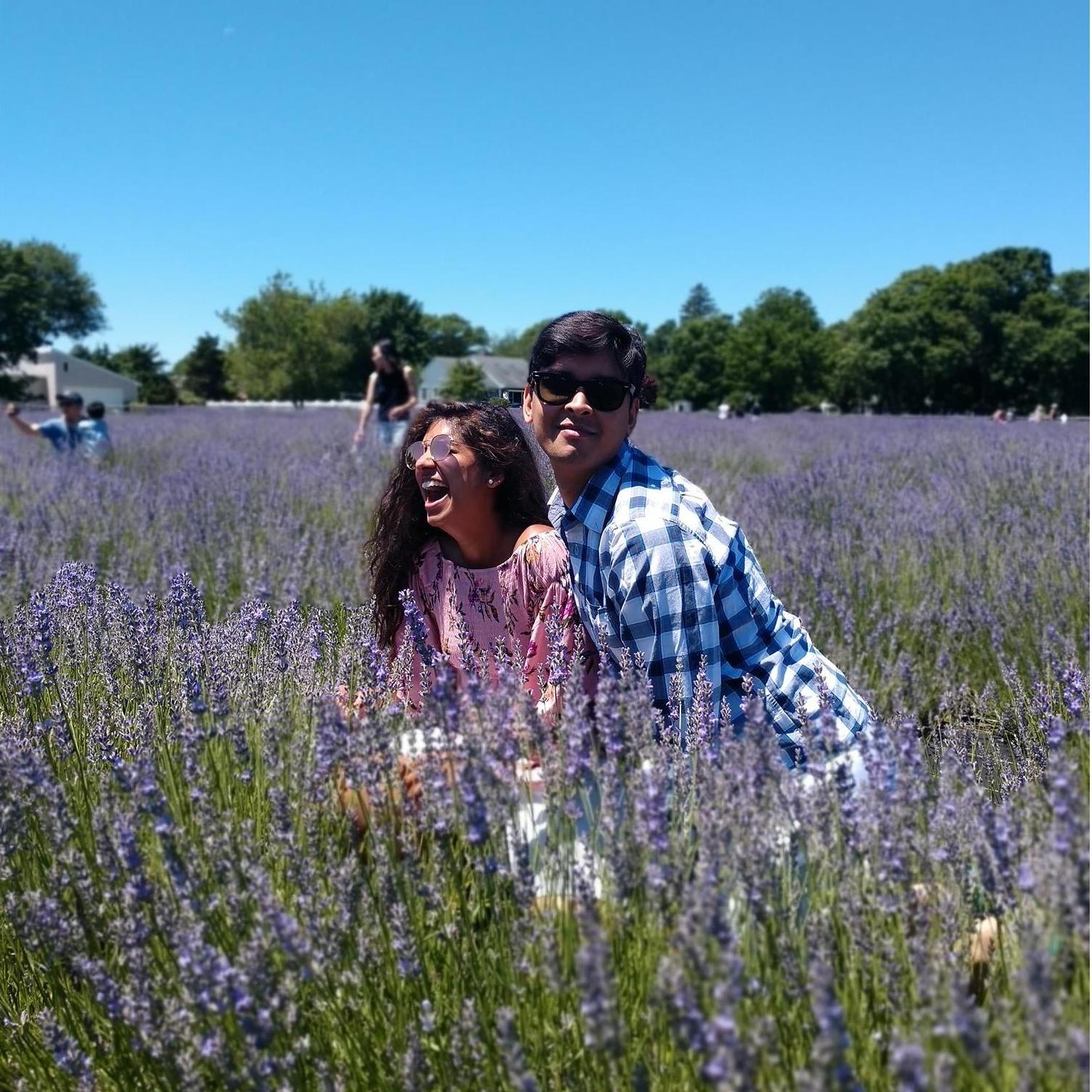 Bishnu being Bishnu and making Priyal fall over in laughter at the Lavender fields in Long Island