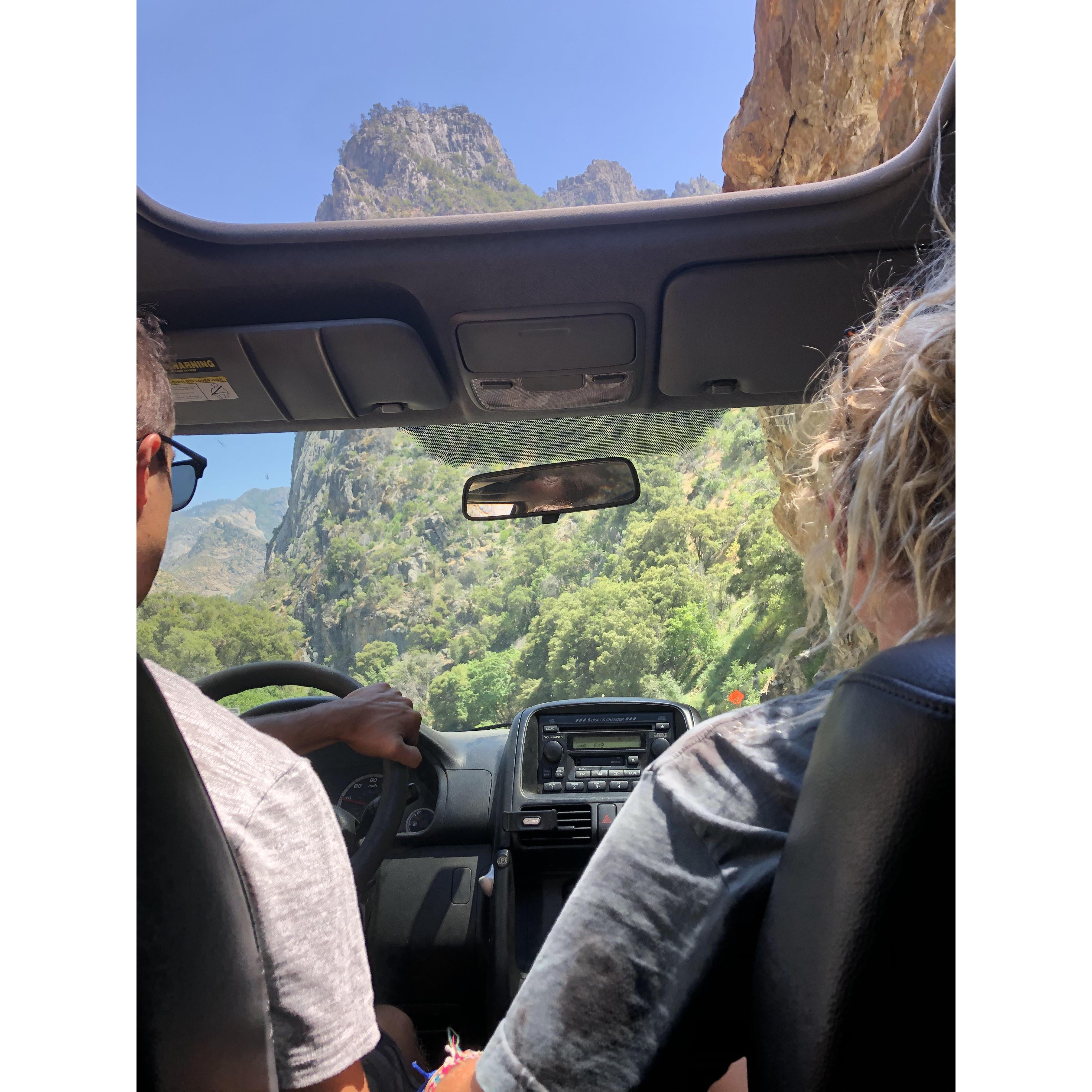 always ready to climb in our favorite place