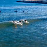 Doheny State Beach