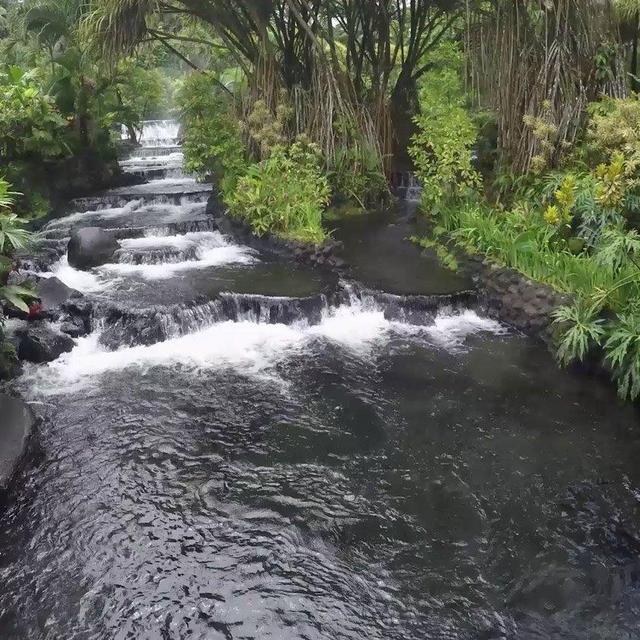 A night at Tabacón thermal springs hotel (rainforest room)
