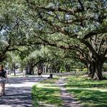 Audubon Park