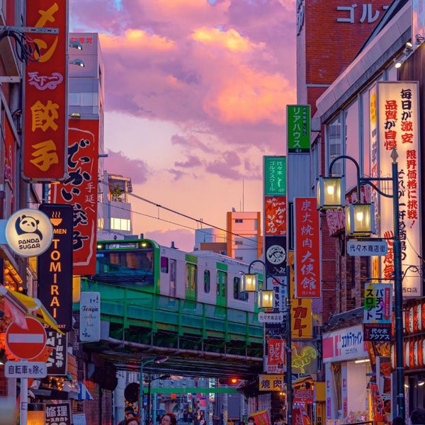 Our Honeymoon Fund: Tokyo, Japan