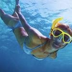 Reef and Shipwreck Snorkeling Tour