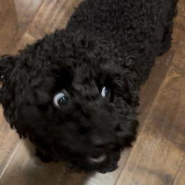 Winnie Training Fund