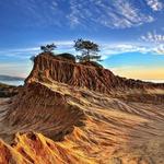 Torrey Pines State Reserve