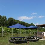 Hammerstone Cellars