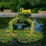 Atlanta Botanical Garden